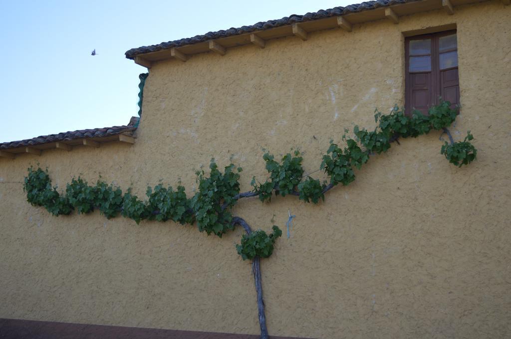 Casa Rural Los Llaganos Villaturiel Exteriör bild